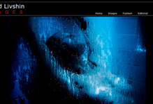 David Livshin, Photographer [web]